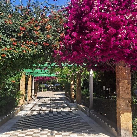 Alameda11 Daire Cadiz Dış mekan fotoğraf