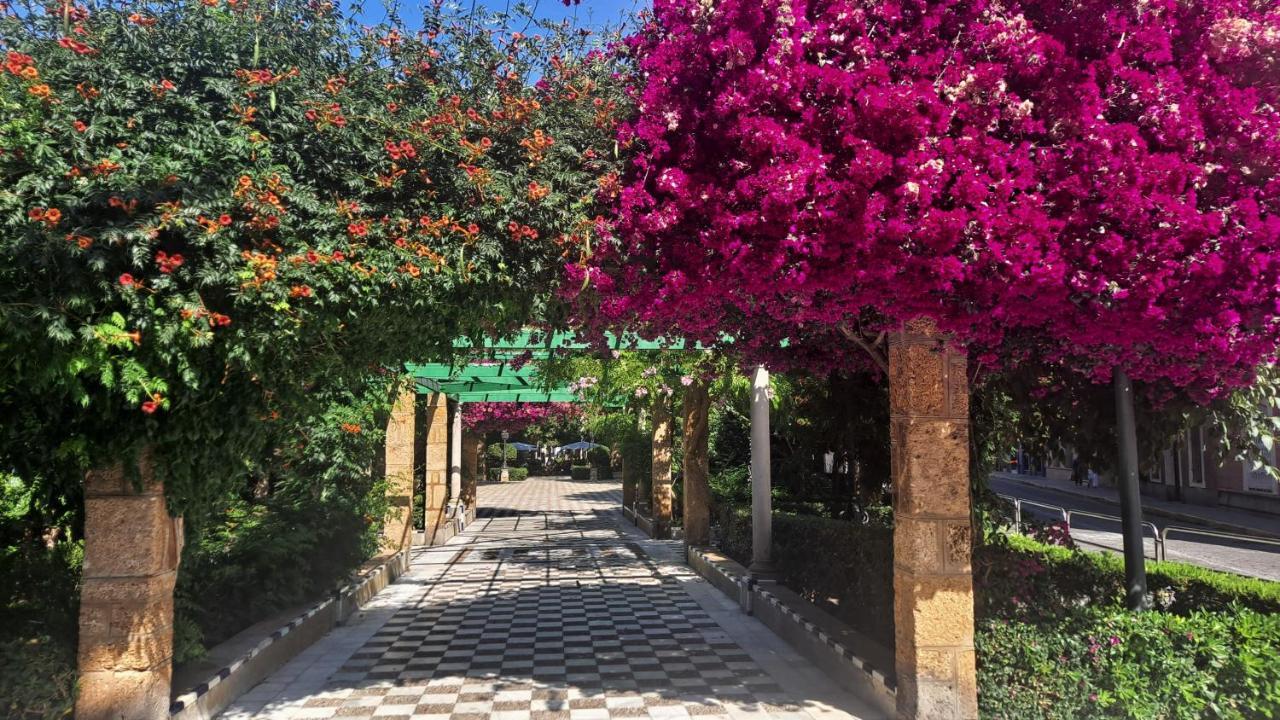 Alameda11 Daire Cadiz Dış mekan fotoğraf